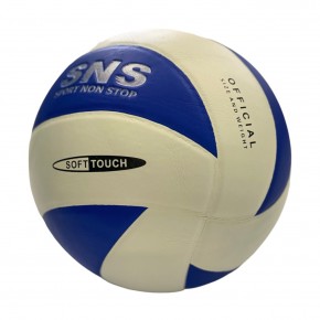 М'яч волейбольний клеєний VS1003																																														