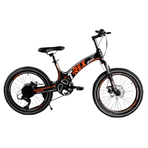 Дитячий спортивний велосипед 20 ''  «T-REX» 70432 